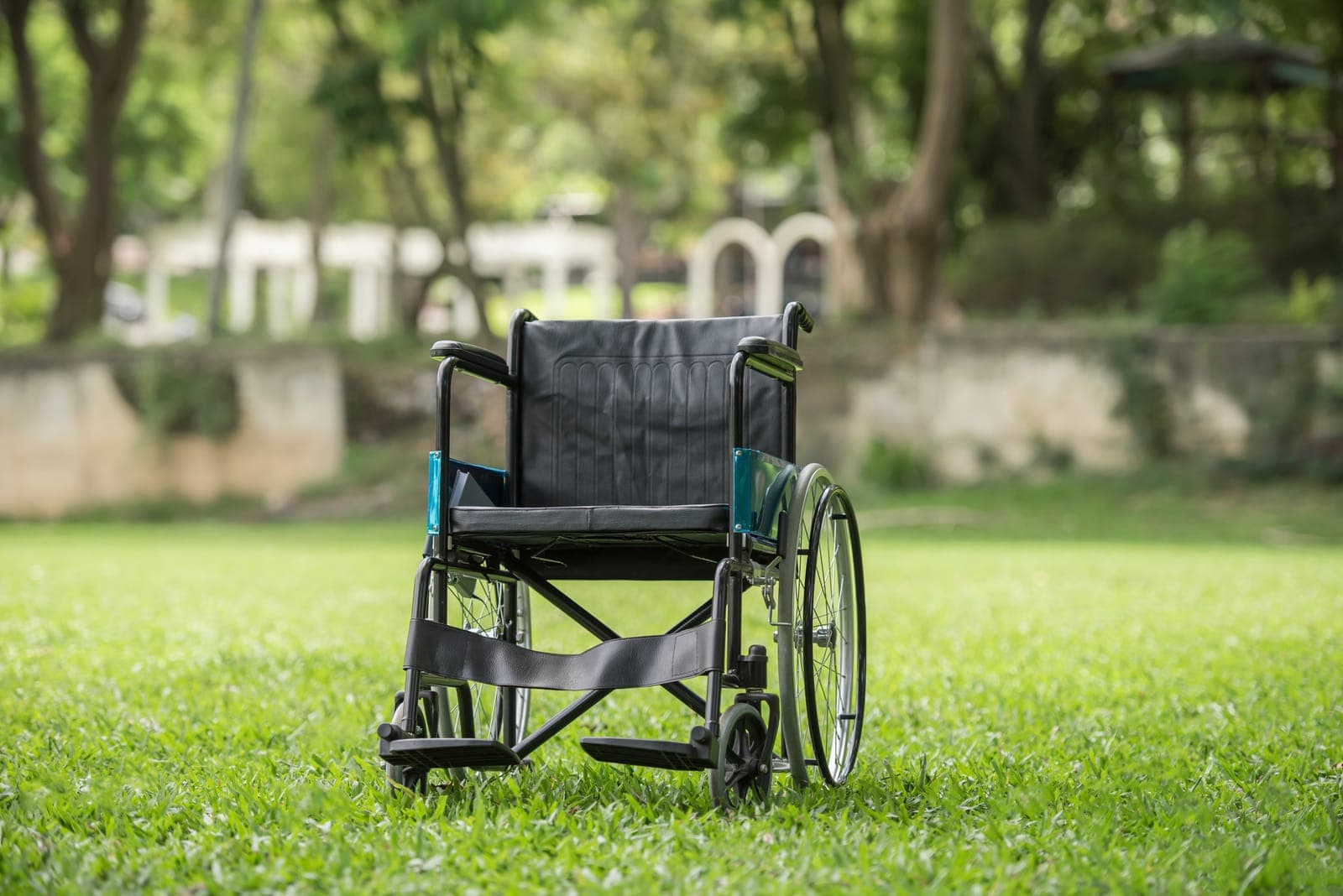Cruise Accessibility Guide: Wheelchair and Mobility
