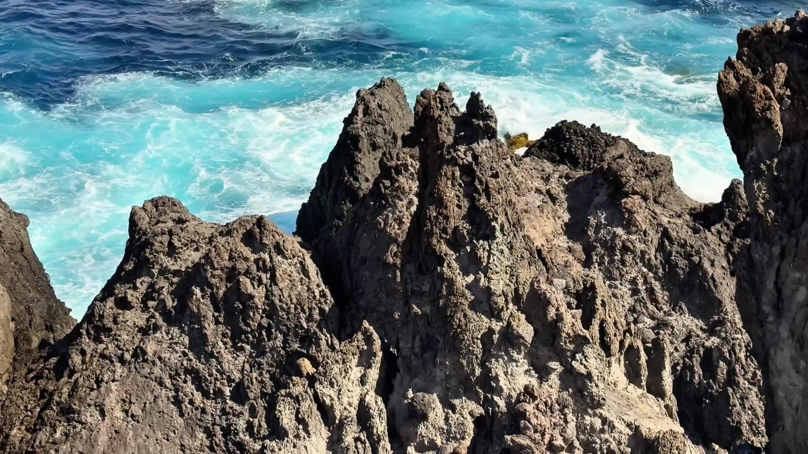 Galápagos Cruise Guide: Wildlife Expedition of a Lifetime