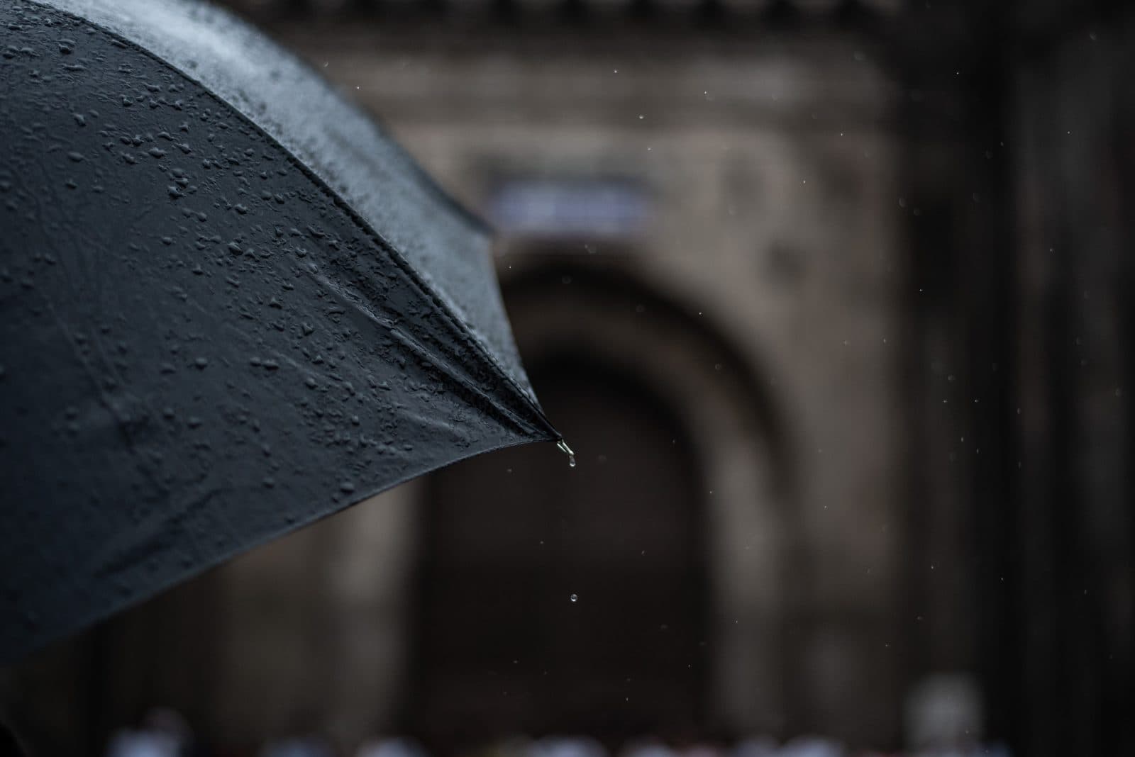Best Compact Umbrellas and Ponchos for Cruise Ports (2026)