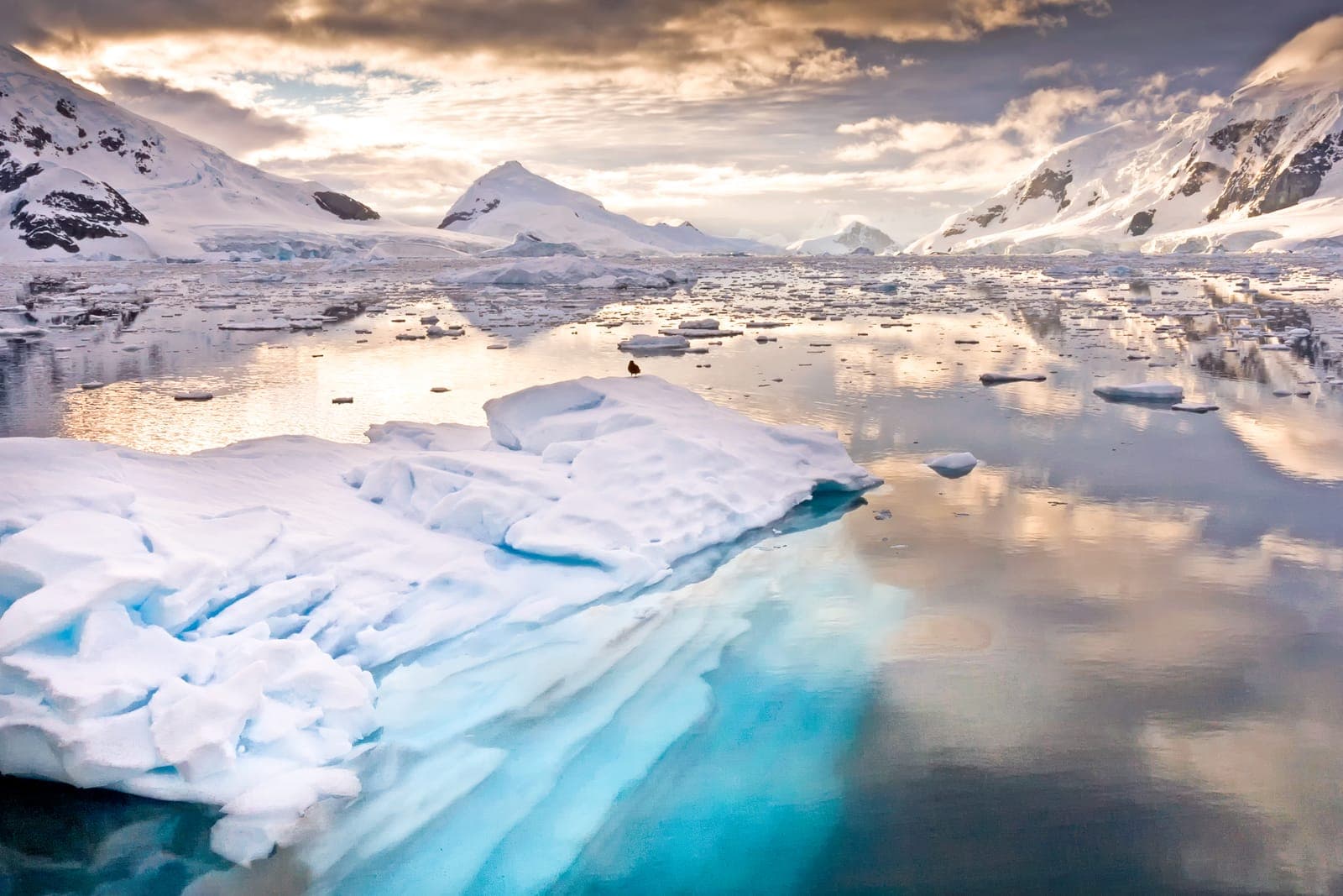 Antarctic Peninsula cruise port