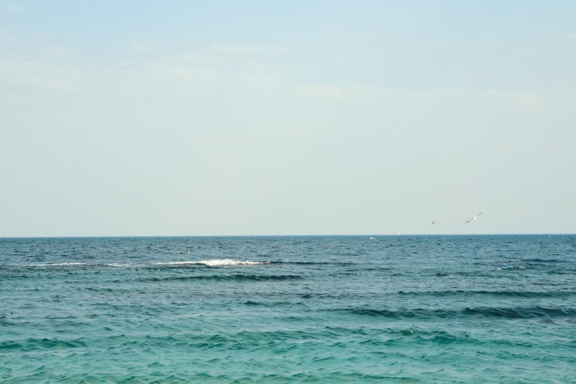 Fort Lauderdale cruise port, Caribbean