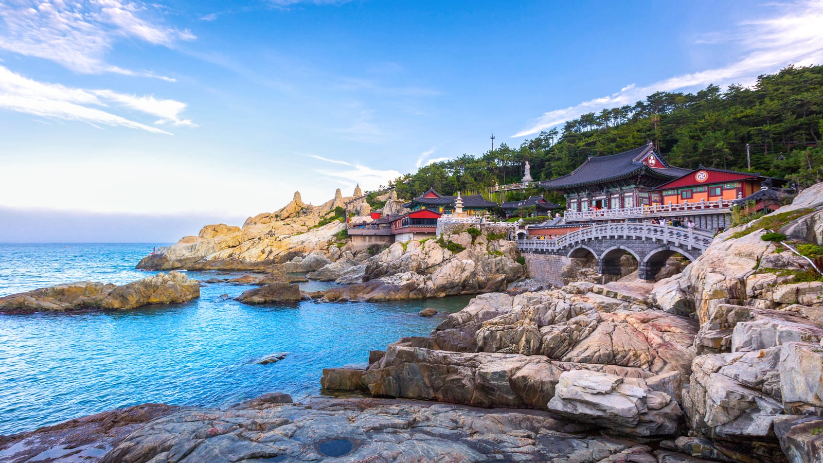 busan — photo 2