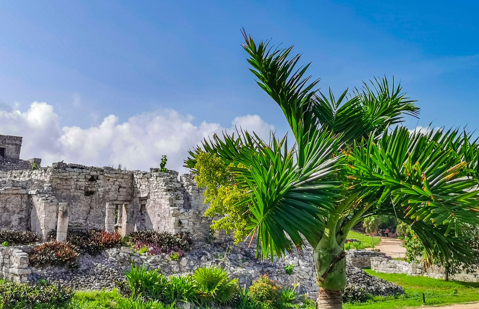 costa-maya — photo 1