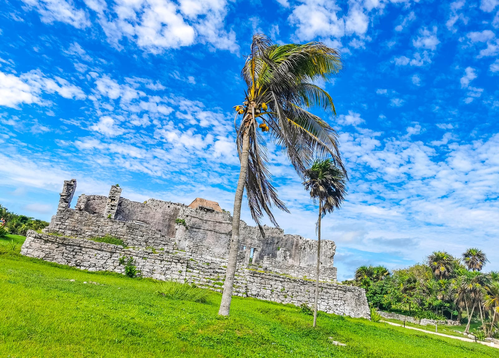 costa-maya — photo 2