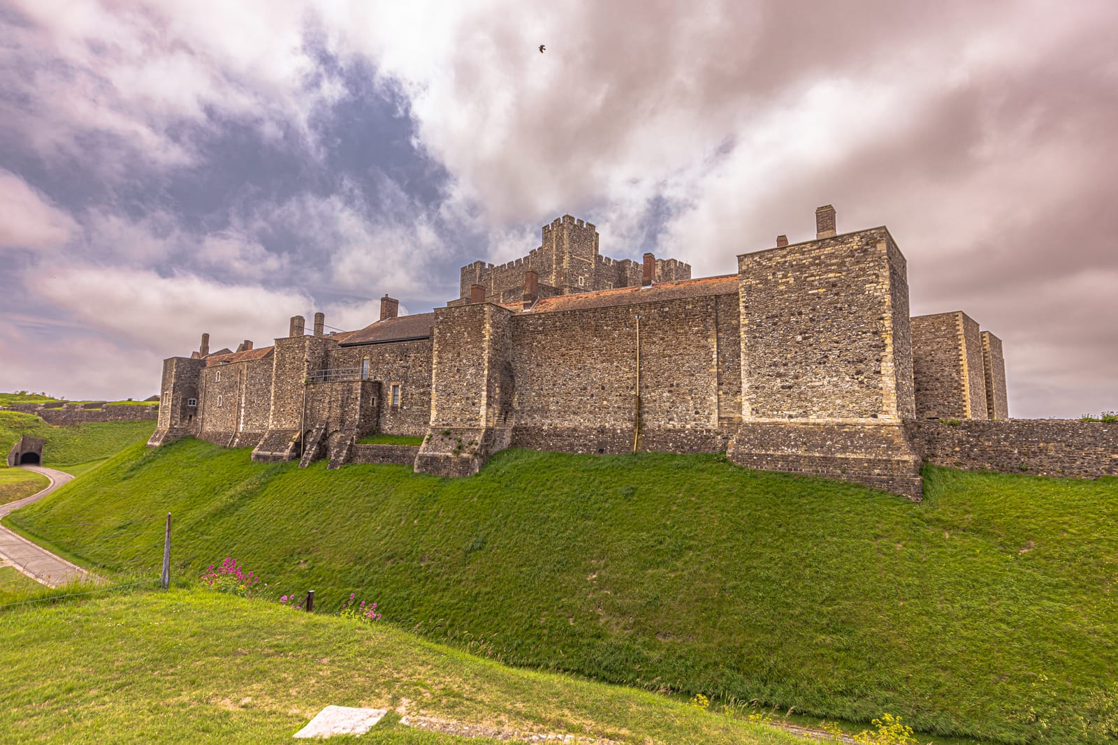 dover — photo 2